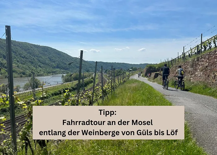 Modern Apartment - Fuer Freunde & Familien, Stadtnah, Parkplatz, E-Ladestation, Gitterbox Fuer Fahrraeder, Fitnessstudio, Digitale Gaestemappe Mit Restaurant- Und Unternehmenstipps