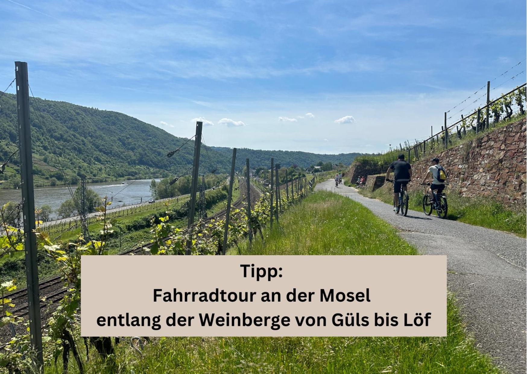 Modern - Fuer Freunde & Familien, Stadtnah, Parkplatz, E-ladestation, Gitterbox Fuer Fahrraeder, Fitnessstudio, Digitale Gaestemappe Mit Restaurant- Und Unternehmenstipps Apartment Koblenz (Rhineland-Palatinate)